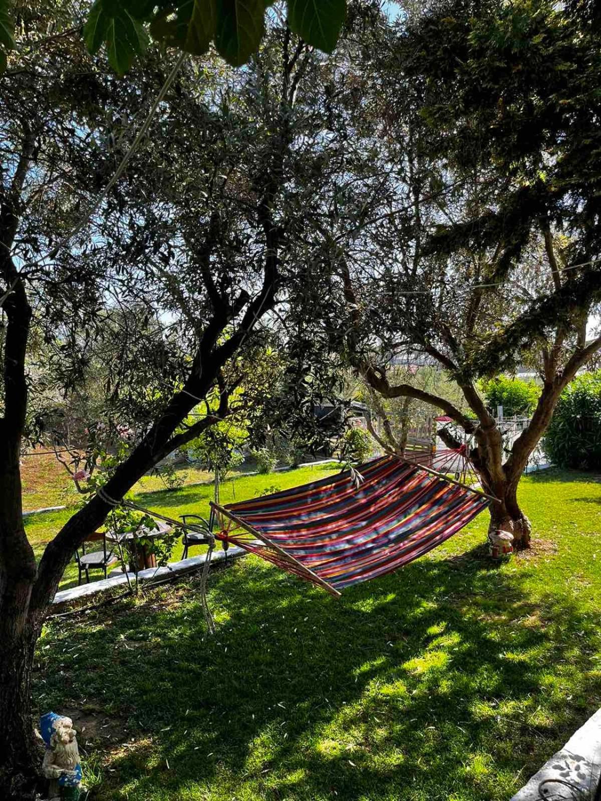 Savvinio Country Apartment Alexandroupoli Exterior photo
